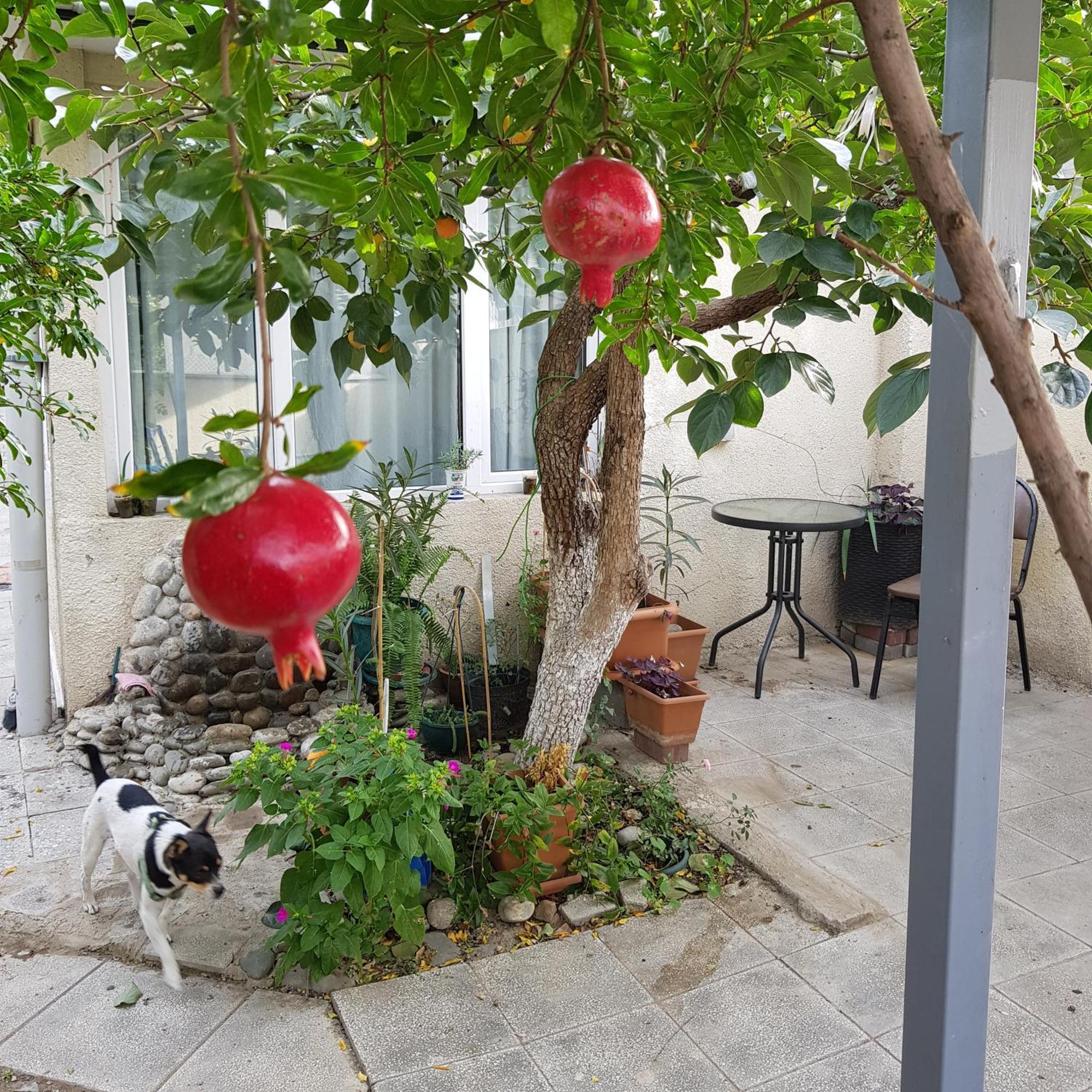 Hotel Домик У Куры Tiflis Exterior foto